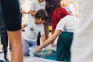 Comunităţile din România în care creşte binele: fundaţiile comunitare au mobilizat în ultimii 16 ani 138 de milioane de lei